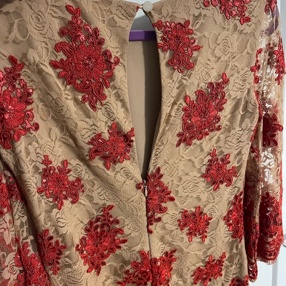 Gorgeous Dress the Population Melody Shift Lace & Red Sequin Dress - Picture 3 of 6